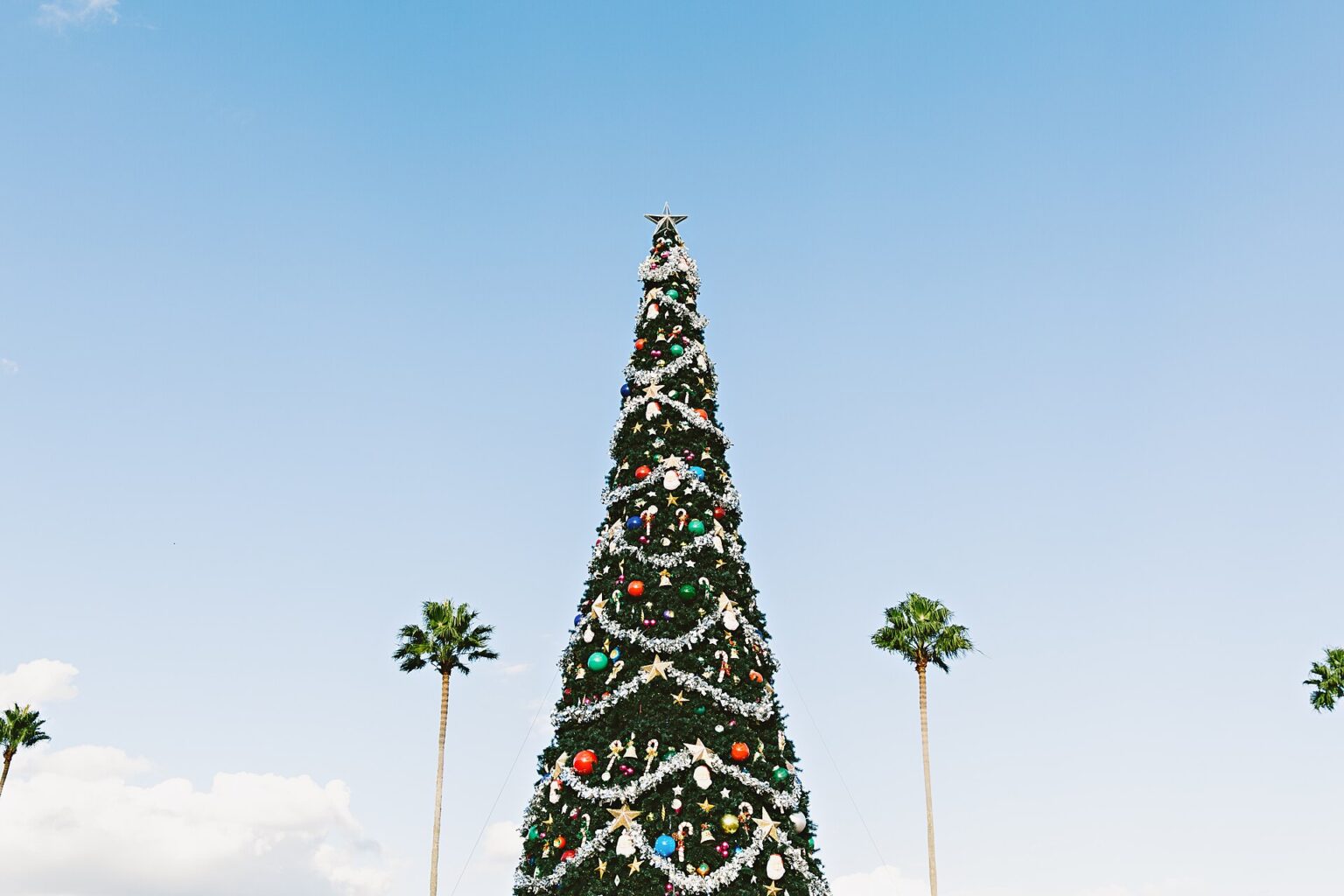 Árbol de Navidad monumental entre palmeras