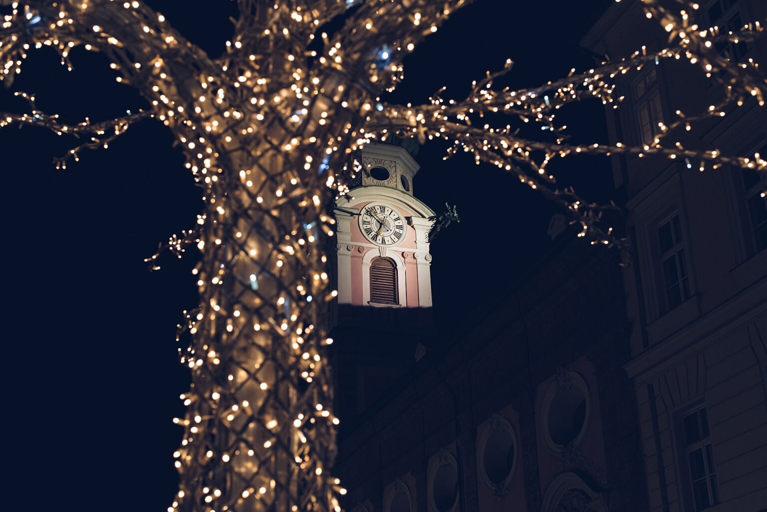 Árbol envuelto en luces cálidas